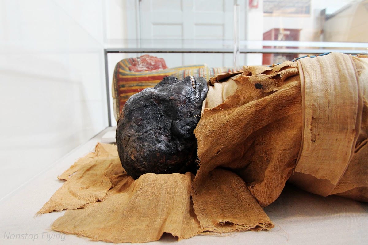 【波士頓】麻省總醫院 Massachusetts General Hospital -醫院也是景點,免費參觀百年圓頂實驗室/醫學最高殿堂! - 第17張圖 【波士頓】麻省總醫院 Massachusetts General Hospital -醫院也是景點,免費參觀百年圓頂實驗室/醫學最高殿堂!