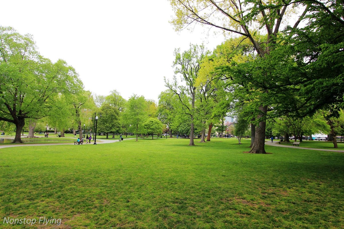 【美國】2018.05 波士頓第三天 -波士頓港、水族館、市區巡禮、讓路小鴨雕塑 - 第29張圖 【美國】2018.05 波士頓第三天 -波士頓港、水族館、市區巡禮、讓路小鴨雕塑