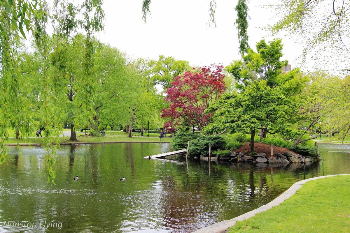 【美國】2018.05 波士頓第三天 -波士頓港、水族館、市區巡禮、讓路小鴨雕塑