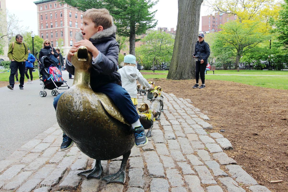 【美國】2018.05 波士頓第三天 -波士頓港、水族館、市區巡禮、讓路小鴨雕塑 - 第35張圖 【美國】2018.05 波士頓第三天 -波士頓港、水族館、市區巡禮、讓路小鴨雕塑