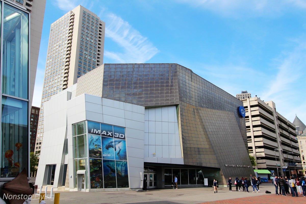 【美國】2018.05 波士頓第三天 -波士頓港、水族館、市區巡禮、讓路小鴨雕塑 - 第15張圖 【美國】2018.05 波士頓第三天 -波士頓港、水族館、市區巡禮、讓路小鴨雕塑