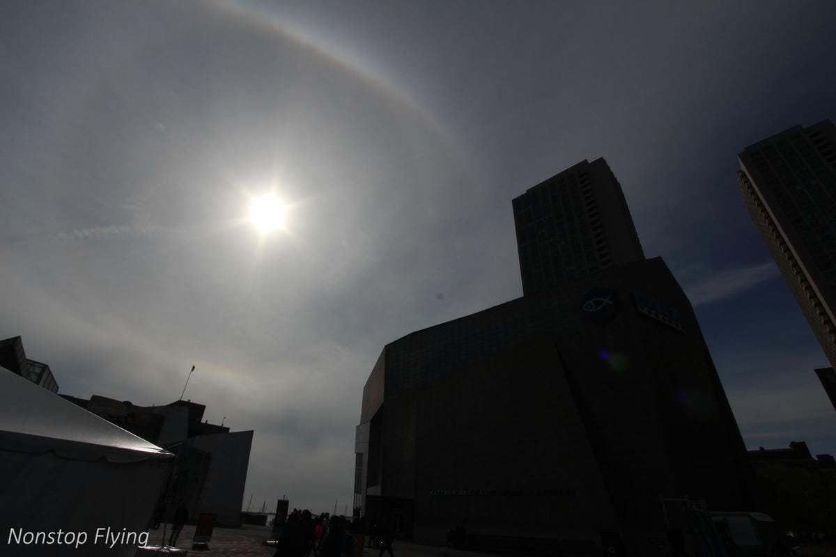 【美國】2018.05 波士頓第三天 -波士頓港、水族館、市區巡禮、讓路小鴨雕塑 - 第14張圖 【美國】2018.05 波士頓第三天 -波士頓港、水族館、市區巡禮、讓路小鴨雕塑