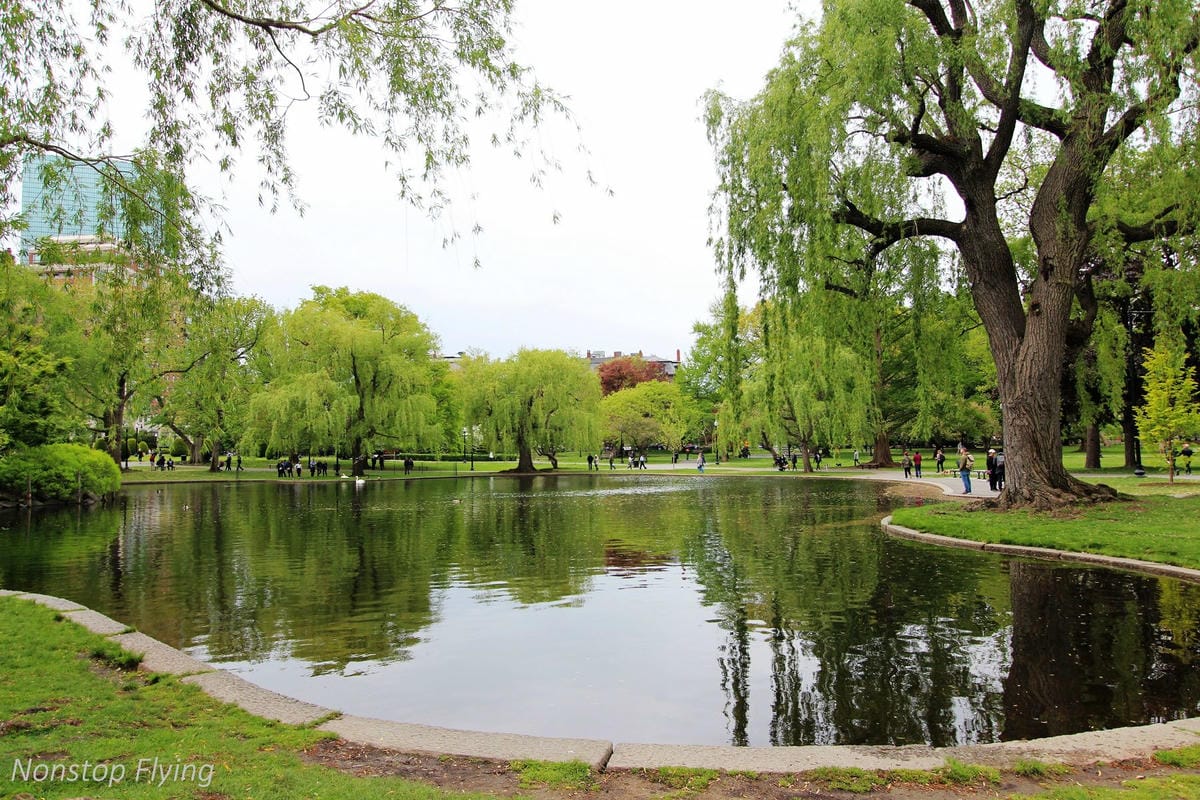 【美國】2018.05 波士頓第三天 -波士頓港、水族館、市區巡禮、讓路小鴨雕塑 - 第33張圖 【美國】2018.05 波士頓第三天 -波士頓港、水族館、市區巡禮、讓路小鴨雕塑