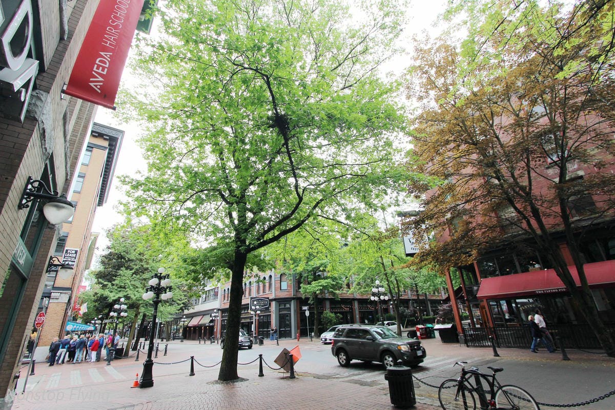 【加拿大】溫哥華半日遊-煤氣鎮、蒸汽鐘、螃蟹公園經典景點輕鬆遊,機場捷運直通適合轉機停留行程 - 第21張圖 【加拿大】溫哥華半日遊-煤氣鎮、蒸汽鐘、螃蟹公園經典景點輕鬆遊,機場捷運直通適合轉機停留行程