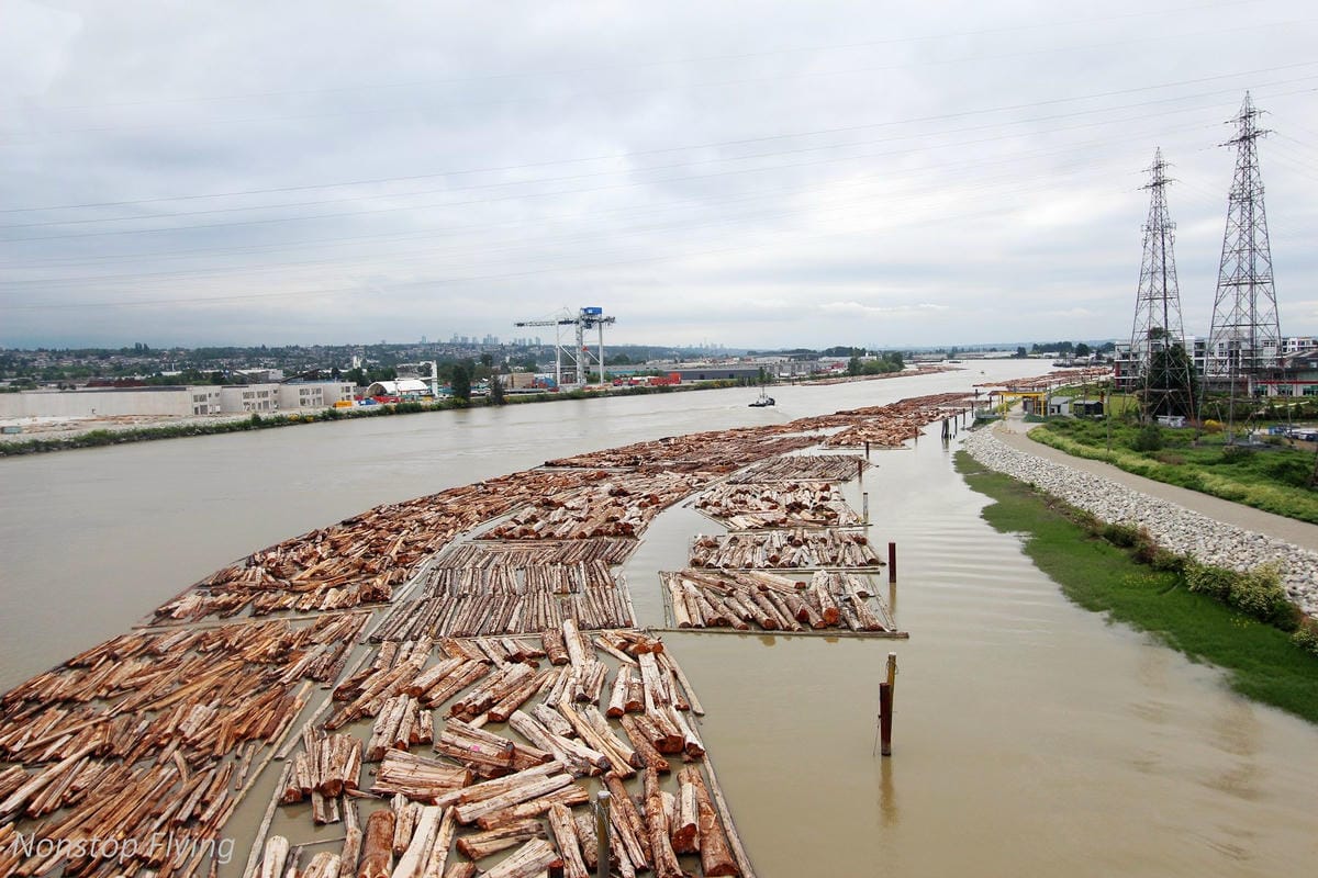 【加拿大】溫哥華半日遊-煤氣鎮、蒸汽鐘、螃蟹公園經典景點輕鬆遊,機場捷運直通適合轉機停留行程 - 第9張圖 【加拿大】溫哥華半日遊-煤氣鎮、蒸汽鐘、螃蟹公園經典景點輕鬆遊,機場捷運直通適合轉機停留行程
