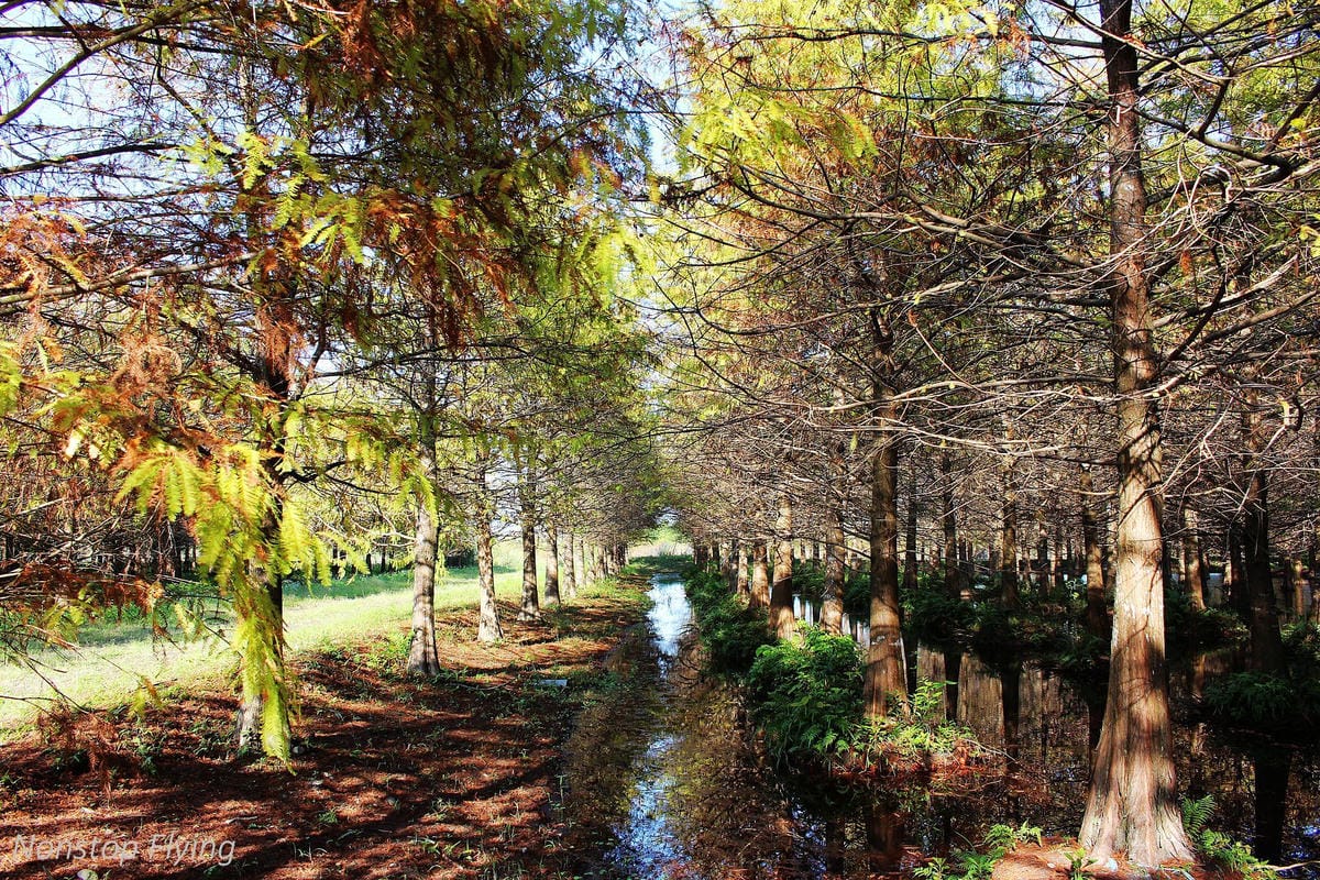 2018冬遊花蓮 兩天一夜小旅行 -太魯閣峽谷馬拉松、星巴克洄瀾門市、雲山水、太平洋公園 - 第41張圖 2018冬遊花蓮 兩天一夜小旅行 -太魯閣峽谷馬拉松、星巴克洄瀾門市、雲山水、太平洋公園