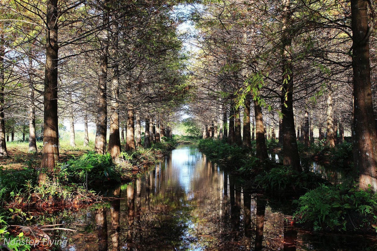 2018冬遊花蓮 兩天一夜小旅行 -太魯閣峽谷馬拉松、星巴克洄瀾門市、雲山水、太平洋公園 - 第42張圖 2018冬遊花蓮 兩天一夜小旅行 -太魯閣峽谷馬拉松、星巴克洄瀾門市、雲山水、太平洋公園
