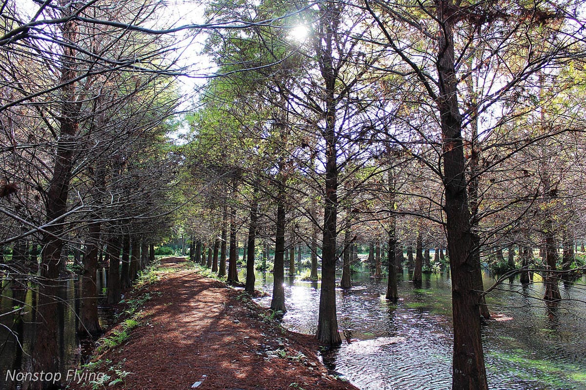 2018冬遊花蓮 兩天一夜小旅行 -太魯閣峽谷馬拉松、星巴克洄瀾門市、雲山水、太平洋公園 - 第46張圖 2018冬遊花蓮 兩天一夜小旅行 -太魯閣峽谷馬拉松、星巴克洄瀾門市、雲山水、太平洋公園