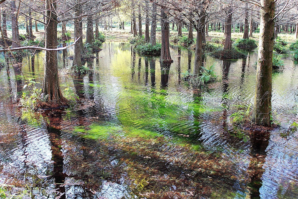 2018冬遊花蓮 兩天一夜小旅行 -太魯閣峽谷馬拉松、星巴克洄瀾門市、雲山水、太平洋公園 - 第45張圖 2018冬遊花蓮 兩天一夜小旅行 -太魯閣峽谷馬拉松、星巴克洄瀾門市、雲山水、太平洋公園
