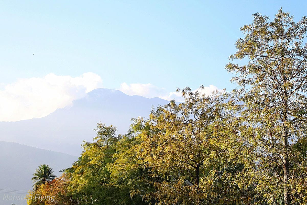 2018冬遊花蓮 兩天一夜小旅行 -太魯閣峽谷馬拉松、星巴克洄瀾門市、雲山水、太平洋公園 - 第53張圖 2018冬遊花蓮 兩天一夜小旅行 -太魯閣峽谷馬拉松、星巴克洄瀾門市、雲山水、太平洋公園