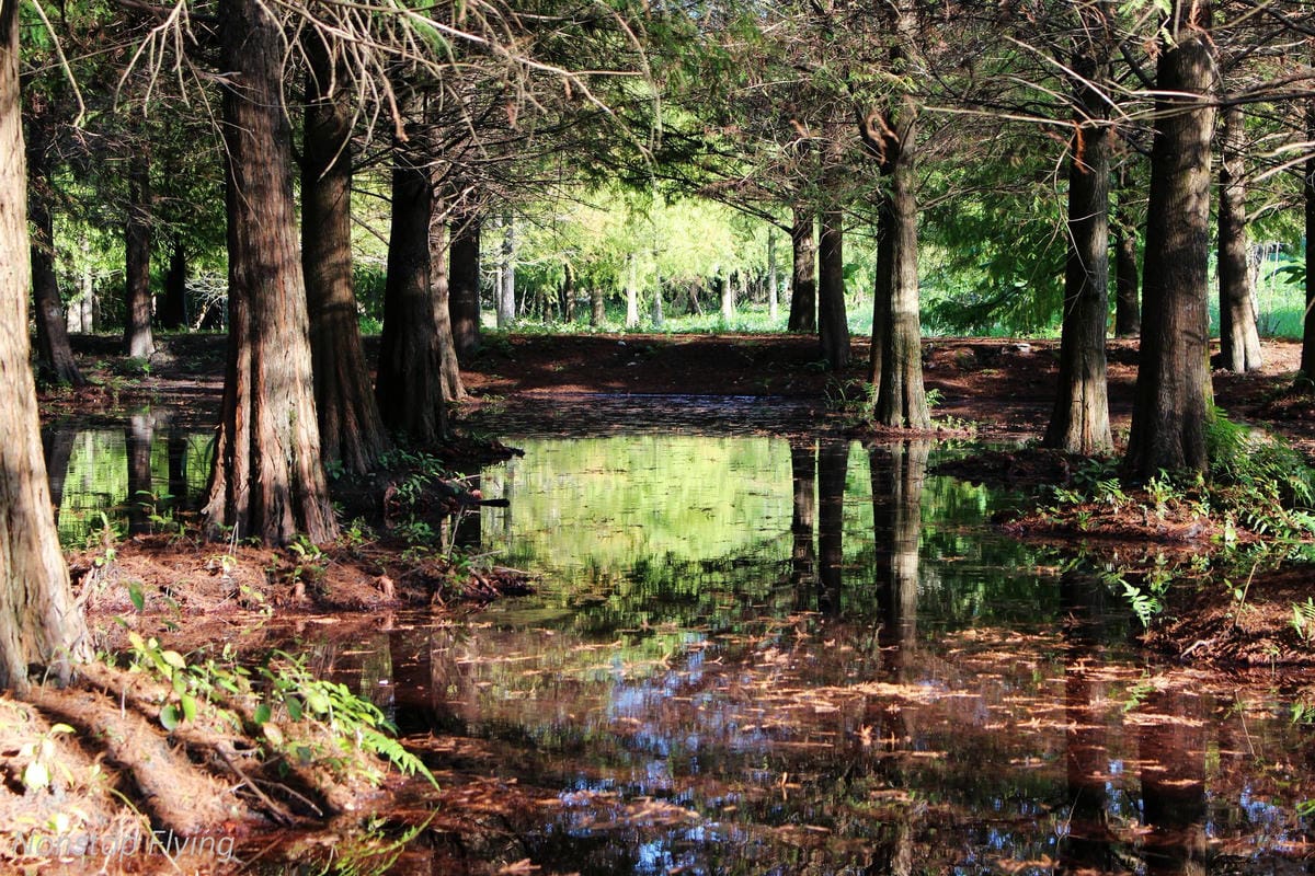 2018冬遊花蓮 兩天一夜小旅行 -太魯閣峽谷馬拉松、星巴克洄瀾門市、雲山水、太平洋公園 - 第44張圖 2018冬遊花蓮 兩天一夜小旅行 -太魯閣峽谷馬拉松、星巴克洄瀾門市、雲山水、太平洋公園