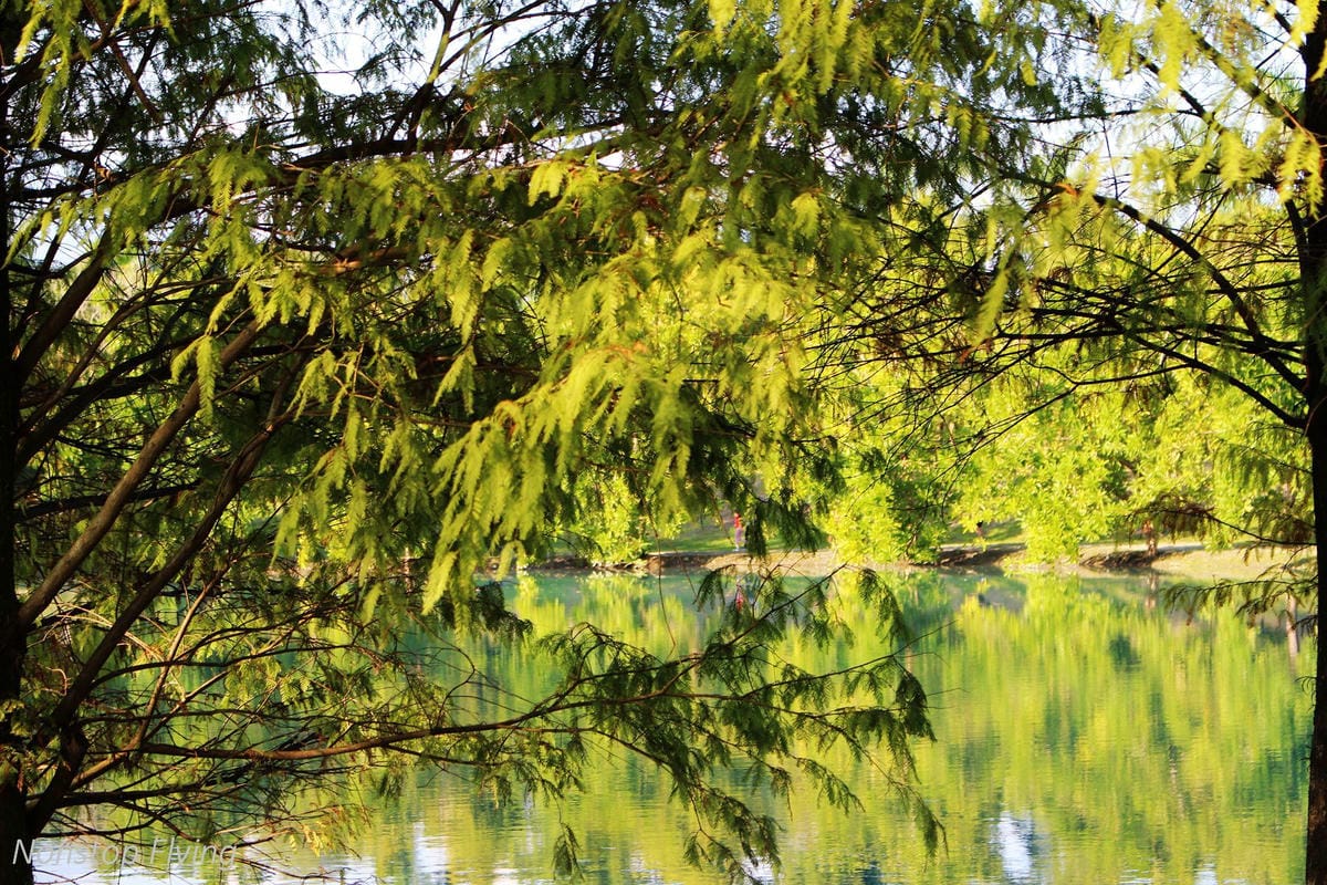2018冬遊花蓮 兩天一夜小旅行 -太魯閣峽谷馬拉松、星巴克洄瀾門市、雲山水、太平洋公園