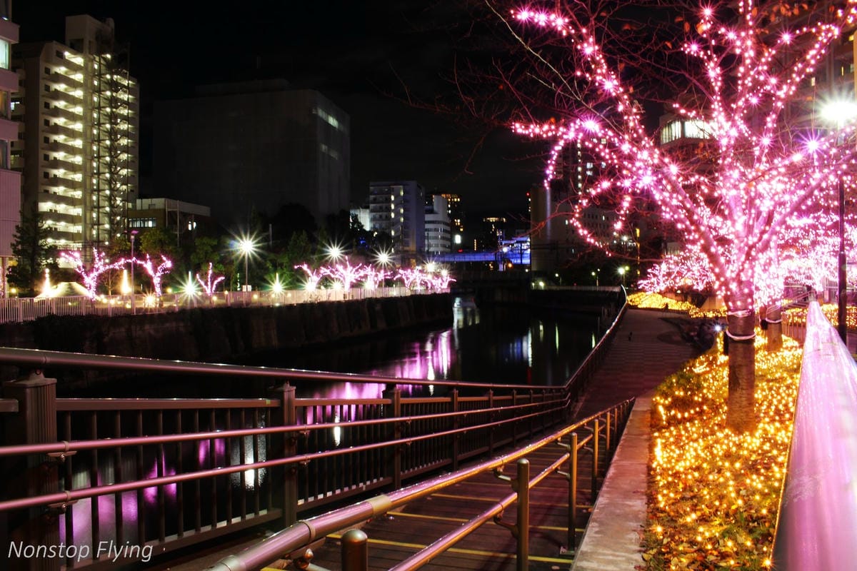 (2018)12月東京四天三夜小旅行 -耶誕燈飾、楓紅、銀杏之旅