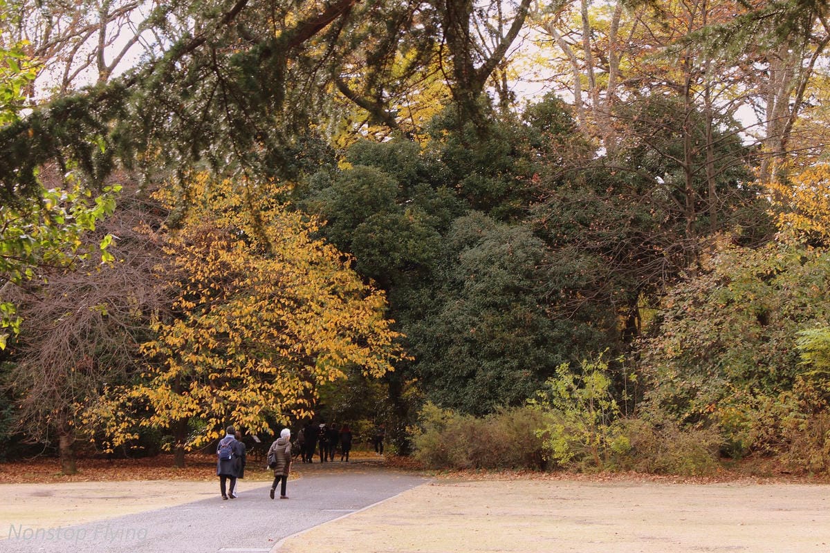 (2018)12月東京四天三夜小旅行 -耶誕燈飾、楓紅、銀杏之旅 - 第26張圖 (2018)12月東京四天三夜小旅行 -耶誕燈飾、楓紅、銀杏之旅