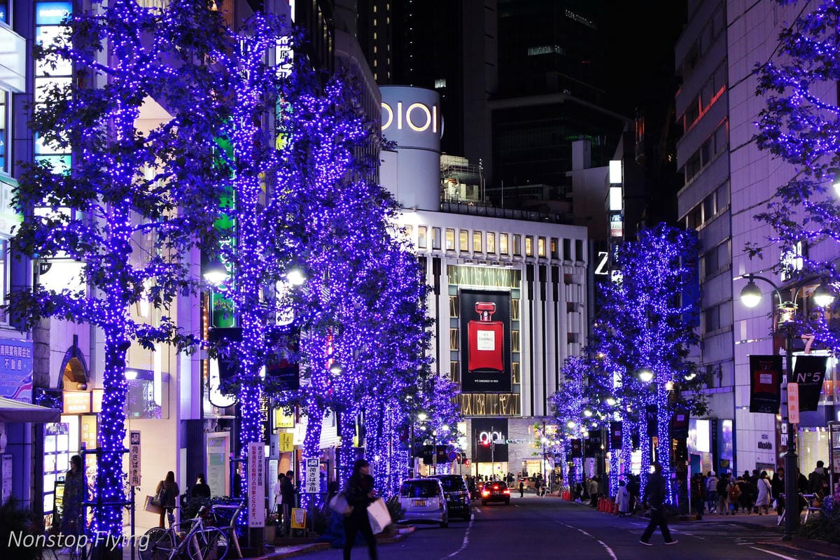 (2018)12月東京四天三夜小旅行 -耶誕燈飾、楓紅、銀杏之旅 - 第51張圖 (2018)12月東京四天三夜小旅行 -耶誕燈飾、楓紅、銀杏之旅