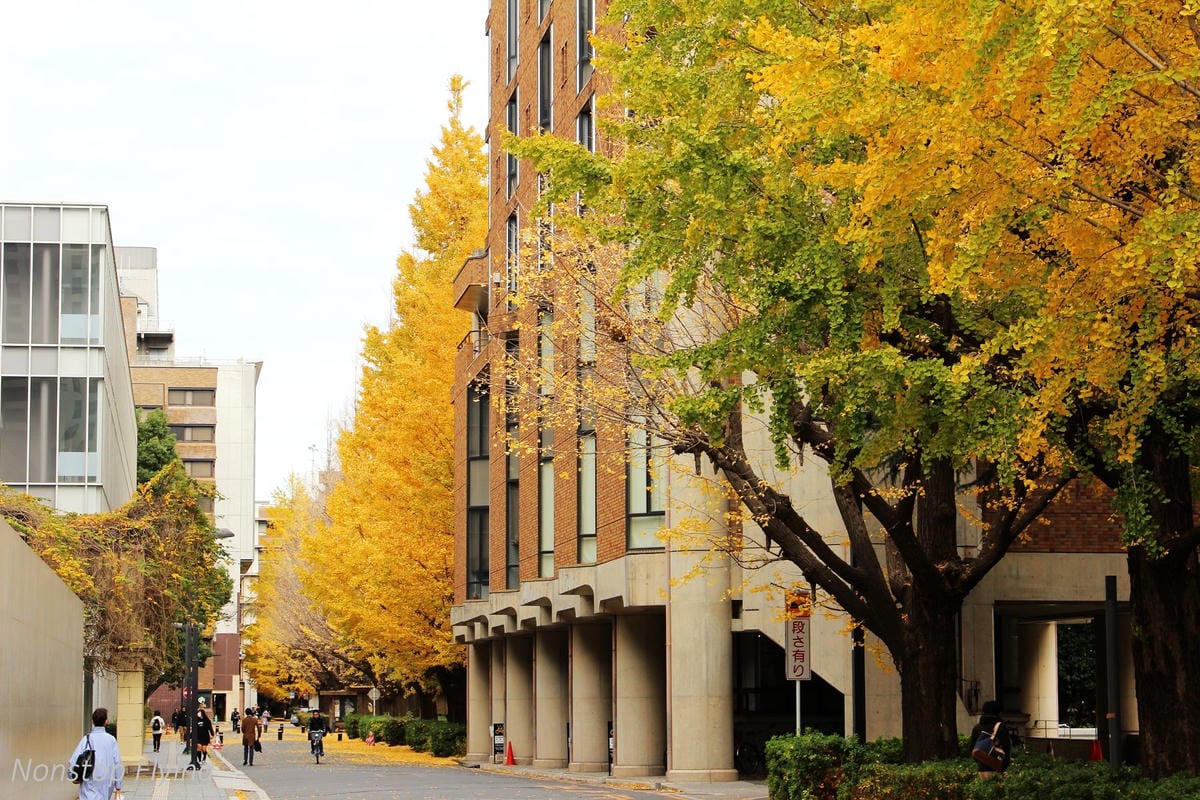 (2018)12月東京四天三夜小旅行 -耶誕燈飾、楓紅、銀杏之旅 - 第59張圖 (2018)12月東京四天三夜小旅行 -耶誕燈飾、楓紅、銀杏之旅