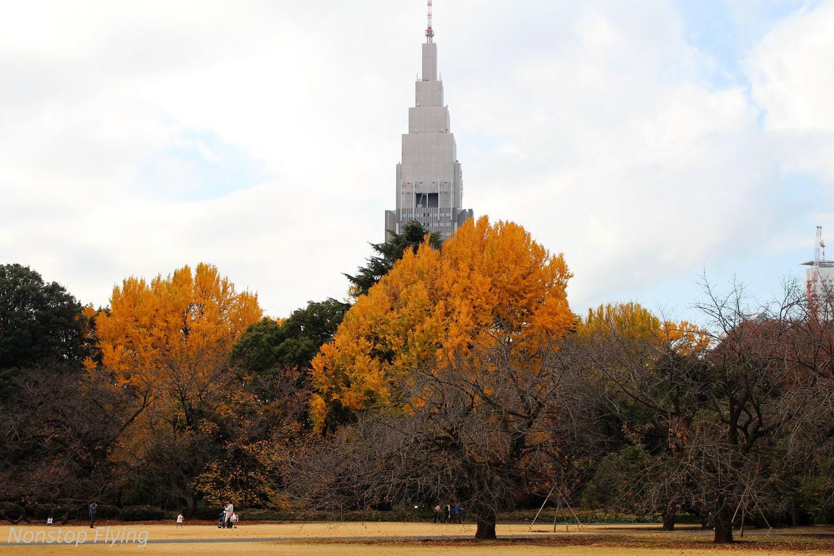 (2018)12月東京四天三夜小旅行 -耶誕燈飾、楓紅、銀杏之旅 - 第25張圖 (2018)12月東京四天三夜小旅行 -耶誕燈飾、楓紅、銀杏之旅