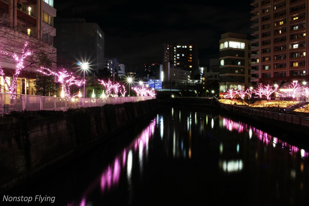 (2018)12月東京四天三夜小旅行 -耶誕燈飾、楓紅、銀杏之旅 - 第53張圖 (2018)12月東京四天三夜小旅行 -耶誕燈飾、楓紅、銀杏之旅