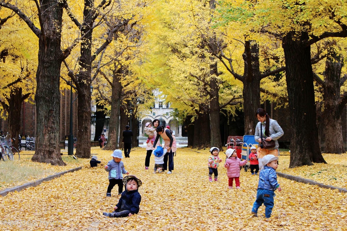 (2018)12月東京四天三夜小旅行 -耶誕燈飾、楓紅、銀杏之旅 - 第68張圖 (2018)12月東京四天三夜小旅行 -耶誕燈飾、楓紅、銀杏之旅