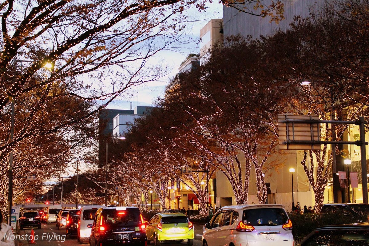 (2018)12月東京四天三夜小旅行 -耶誕燈飾、楓紅、銀杏之旅 - 第47張圖 (2018)12月東京四天三夜小旅行 -耶誕燈飾、楓紅、銀杏之旅