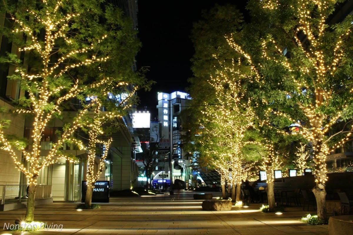 (2018)12月東京四天三夜小旅行 -耶誕燈飾、楓紅、銀杏之旅
