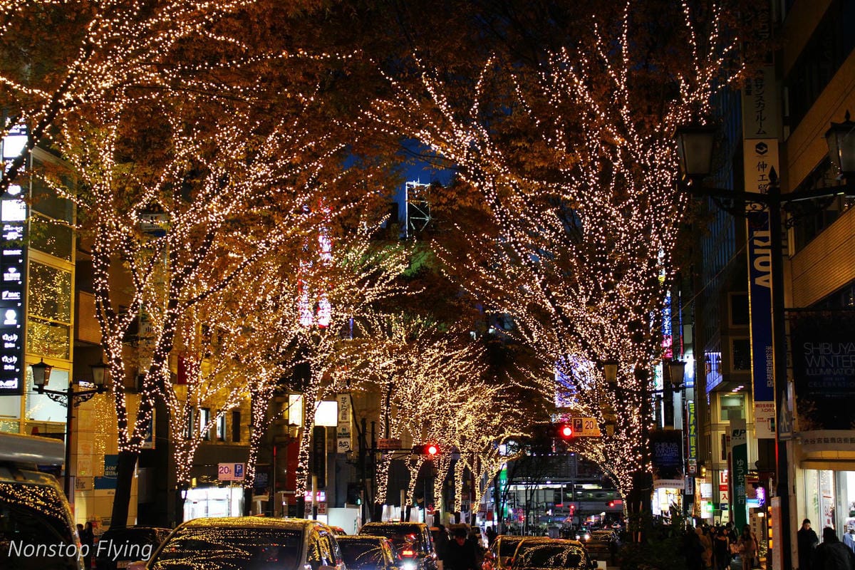 (2018)12月東京四天三夜小旅行 -耶誕燈飾、楓紅、銀杏之旅 - 第48張圖 (2018)12月東京四天三夜小旅行 -耶誕燈飾、楓紅、銀杏之旅