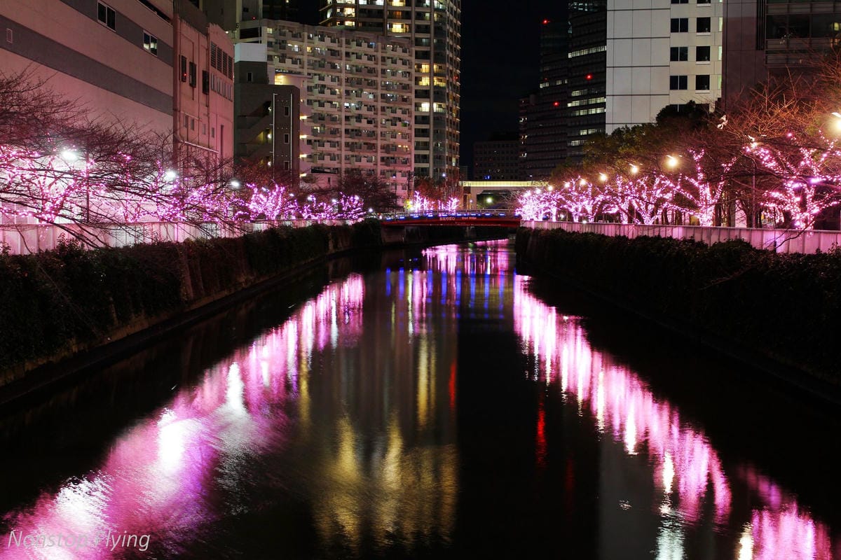 (2018)12月東京四天三夜小旅行 -耶誕燈飾、楓紅、銀杏之旅 - 第55張圖 (2018)12月東京四天三夜小旅行 -耶誕燈飾、楓紅、銀杏之旅