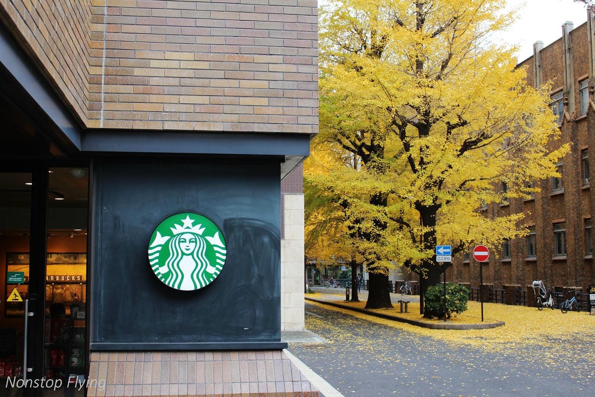 (2018)12月東京四天三夜小旅行 -耶誕燈飾、楓紅、銀杏之旅 - 第64張圖 (2018)12月東京四天三夜小旅行 -耶誕燈飾、楓紅、銀杏之旅