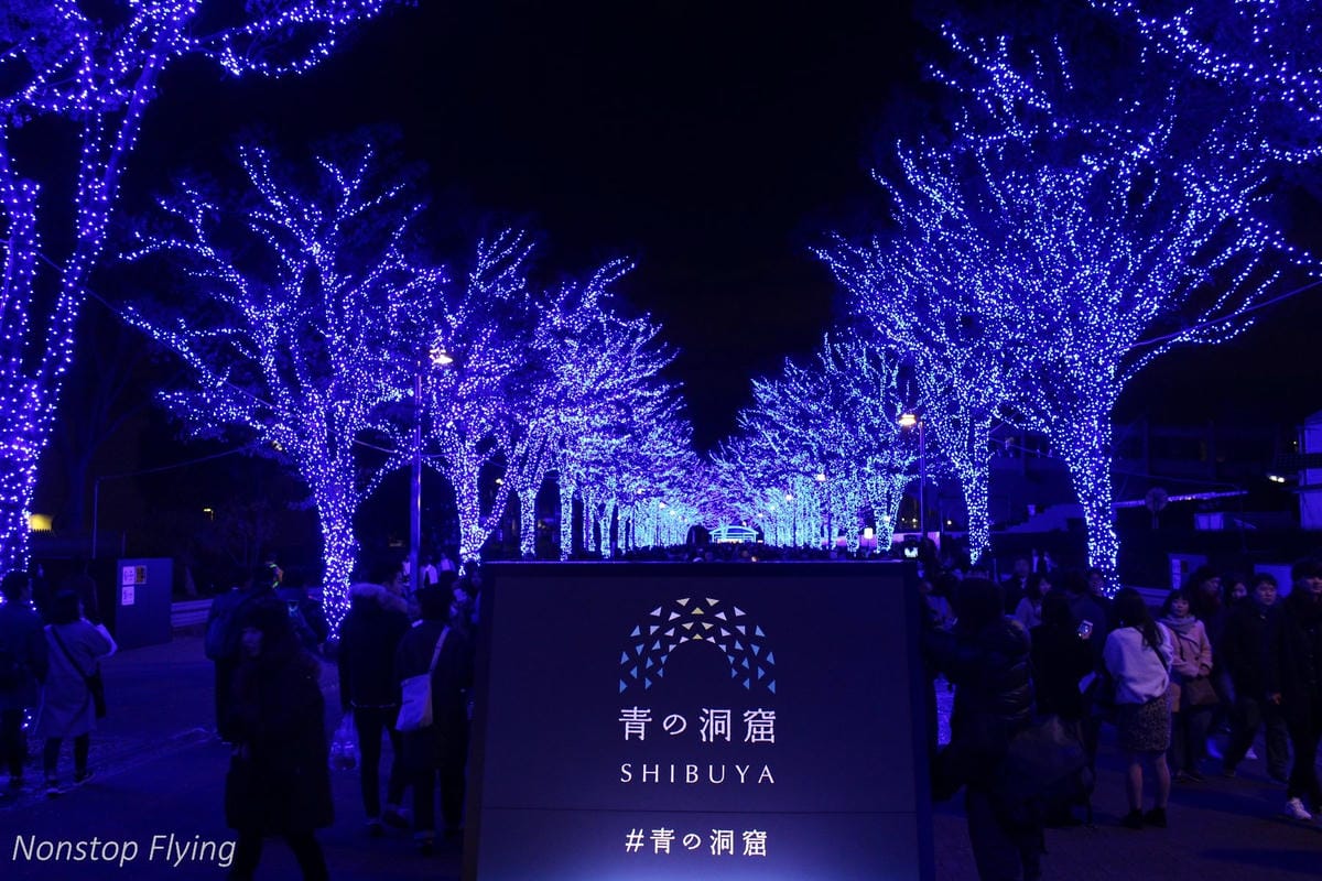 (2018)12月東京四天三夜小旅行 -耶誕燈飾、楓紅、銀杏之旅 - 第52張圖 (2018)12月東京四天三夜小旅行 -耶誕燈飾、楓紅、銀杏之旅