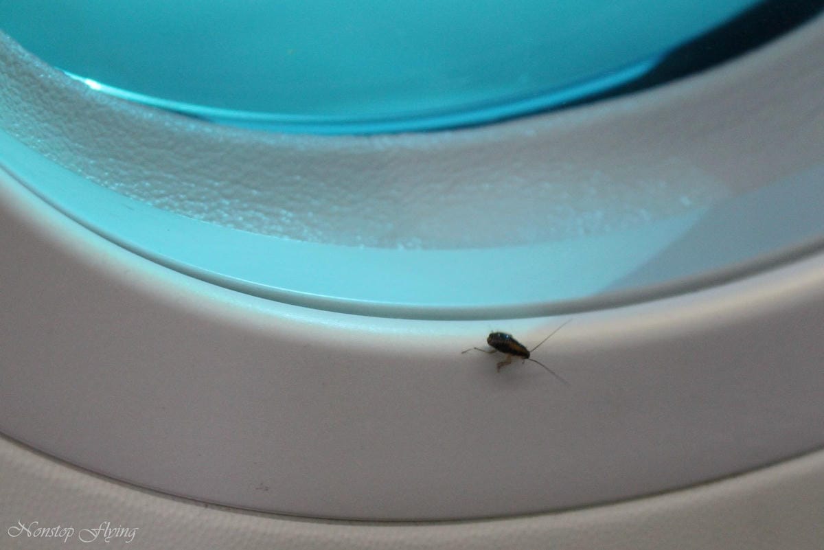 2019.04.17 卡達航空 QR327 杜哈-倫敦蓋威克 787-8商務艙 飛行記錄 -全平躺座椅、隨選餐飲、五星級服務 - 第23張圖 2019.04.17 卡達航空 QR327 杜哈-倫敦蓋威克 787-8商務艙 飛行記錄 -全平躺座椅、隨選餐飲、五星級服務