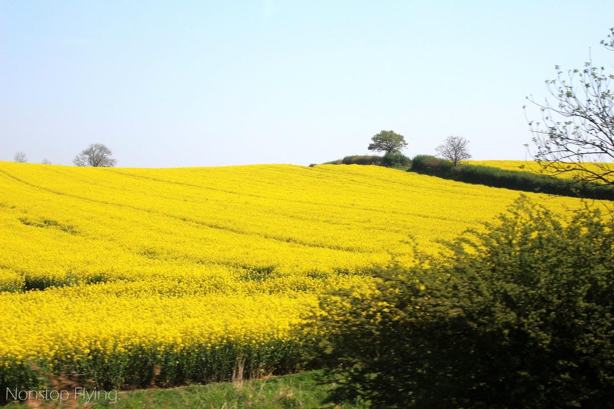 英國火車頭等艙體驗 -寬敞座椅、豐盛餐點、豪華貴賓室，英格蘭最棒的陸上移動方式