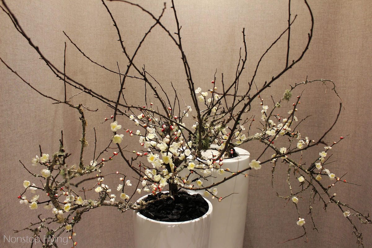 【桃園機場】中華航空 第二航廈貴賓室(梅苑/D4) -含設施、餐飲、開放時間分享 - 第32張圖 【桃園機場】中華航空 第二航廈貴賓室(梅苑/D4) -含設施、餐飲、開放時間分享