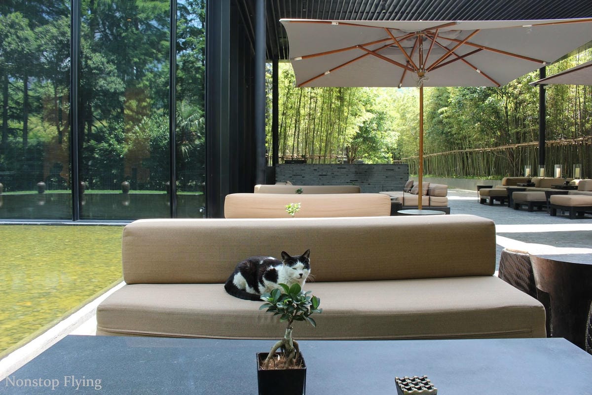 【住宿心得】上海璞麗酒店 -大隱隱於市的五星級大師設計酒店,近靜安寺站 - 第26張圖 【住宿心得】上海璞麗酒店 -大隱隱於市的五星級大師設計酒店,近靜安寺站