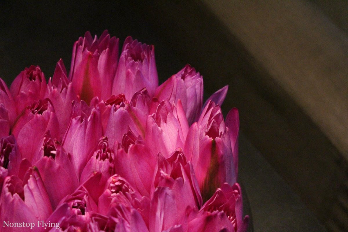 【住宿心得】上海璞麗酒店 -大隱隱於市的五星級大師設計酒店，近靜安寺站