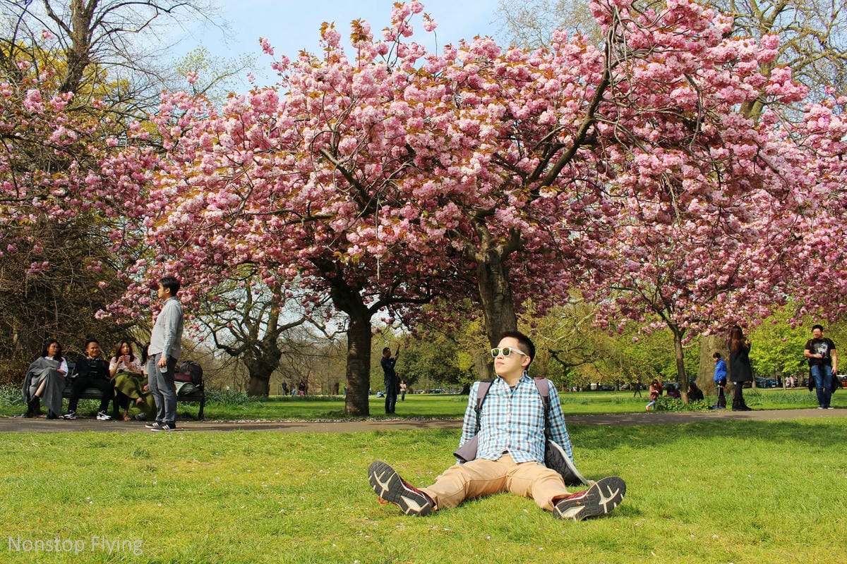 【英國】格林威治半日遊 -倫敦東南郊,朝聖0度經線、春天賞櫻熱點 - 第28張圖 【英國】格林威治半日遊 -倫敦東南郊,朝聖0度經線、春天賞櫻熱點