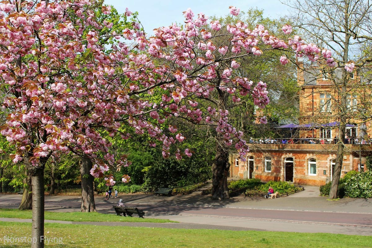 【英國】格林威治半日遊 -倫敦東南郊,朝聖0度經線、春天賞櫻熱點 - 第17張圖 【英國】格林威治半日遊 -倫敦東南郊,朝聖0度經線、春天賞櫻熱點