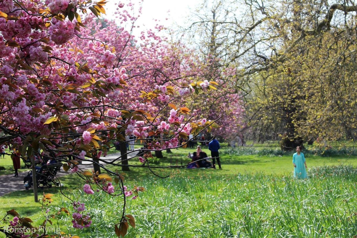 【英國】格林威治半日遊 -倫敦東南郊,朝聖0度經線、春天賞櫻熱點 - 第19張圖 【英國】格林威治半日遊 -倫敦東南郊,朝聖0度經線、春天賞櫻熱點
