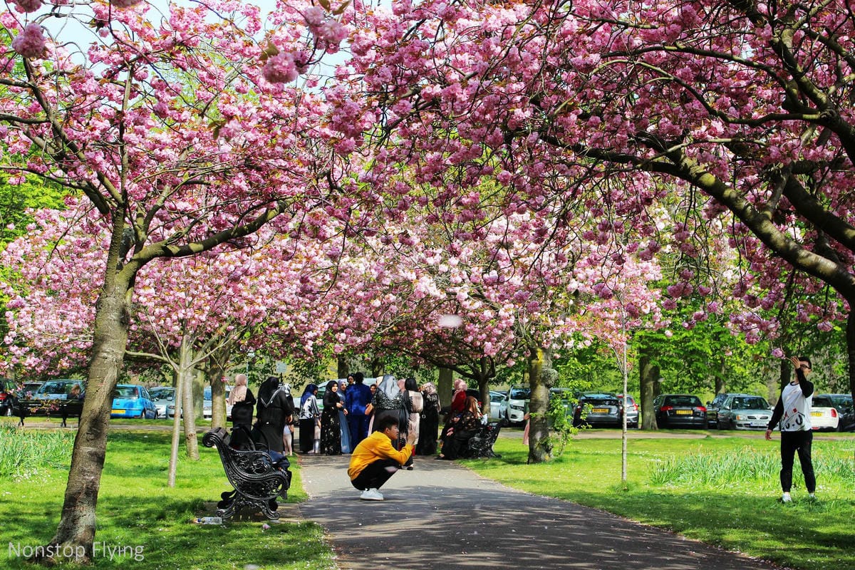 【英國】格林威治半日遊 -倫敦東南郊,朝聖0度經線、春天賞櫻熱點 - 第30張圖 【英國】格林威治半日遊 -倫敦東南郊,朝聖0度經線、春天賞櫻熱點