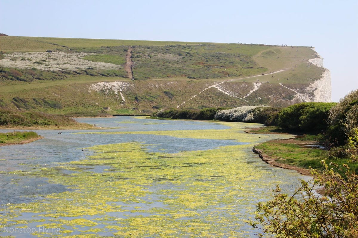 IMG_5126.jpg IMG_5126.jpg