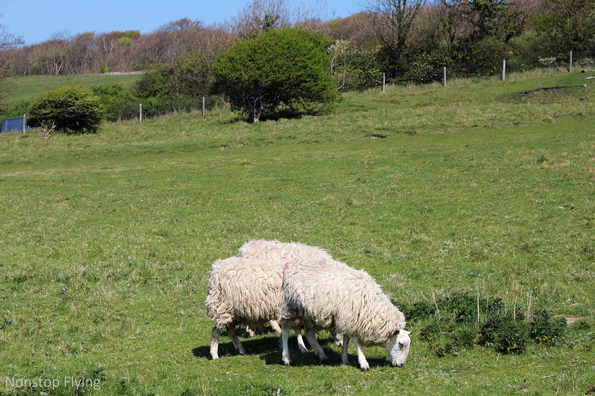 IMG_5108.jpg IMG_5108.jpg