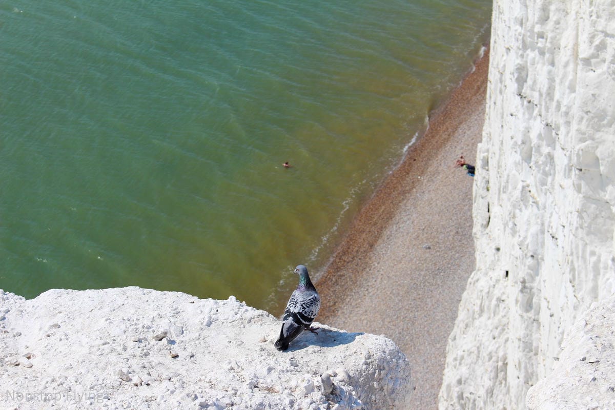 IMG_5173.jpg IMG_5173.jpg