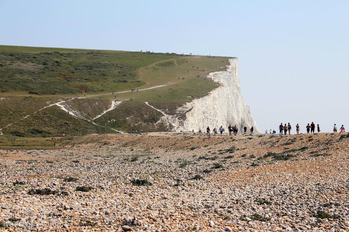 IMG_5127.jpg IMG_5127.jpg