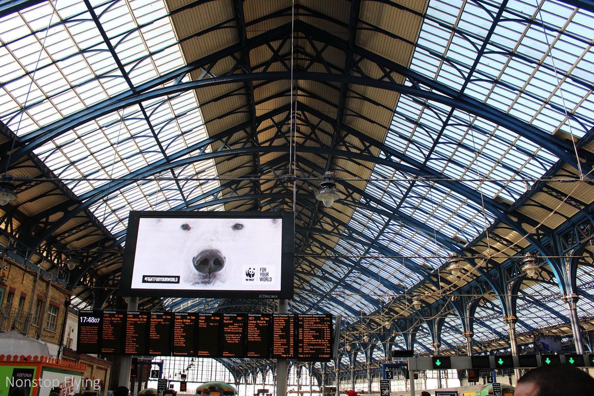 IMG_5207.jpg IMG_5207.jpg