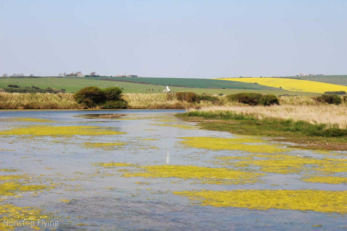 IMG_5125.jpg IMG_5125.jpg