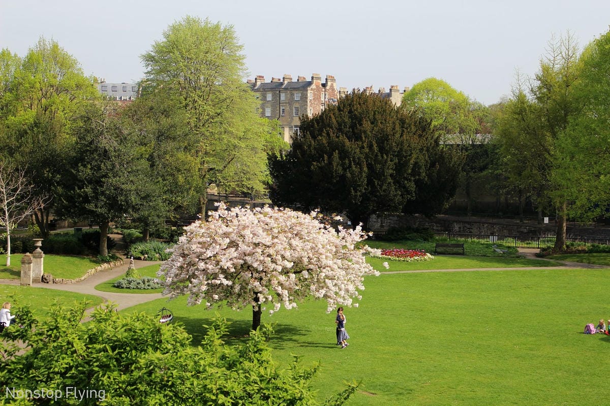 IMG_5317.jpg IMG_5317.jpg