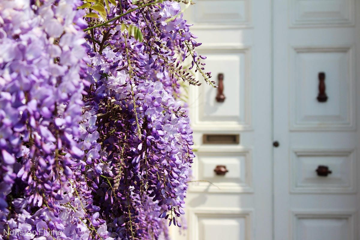 IMG_5422.jpg IMG_5422.jpg