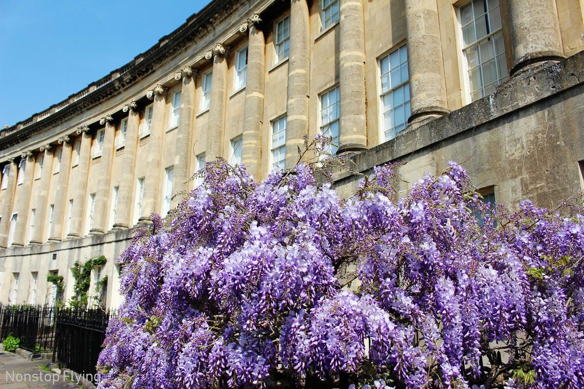 IMG_5423.jpg IMG_5423.jpg