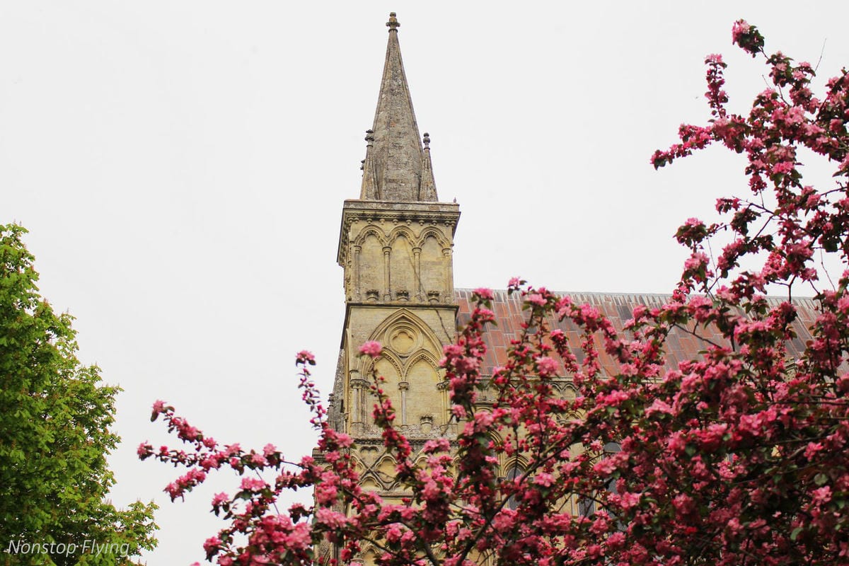 IMG_5626.jpg IMG_5626.jpg