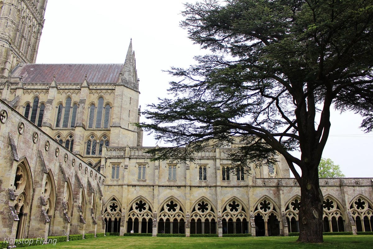 IMG_5632.jpg IMG_5632.jpg