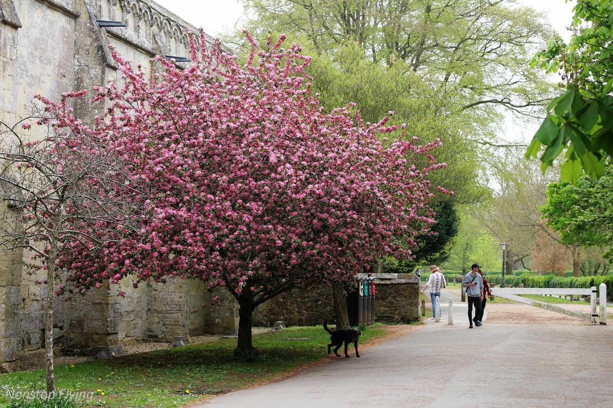 IMG_5625.jpg IMG_5625.jpg